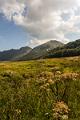 2018_08_04_Auvergne  (0003)